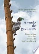 Libro A vuelo de gavilanes