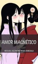 Libro Amor Magnético