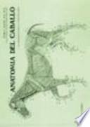 Libro Anatomía del caballo