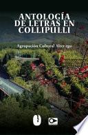 Libro Antología de letras en Collipulli