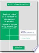 Libro Aspectos civiles de la sustracción internacional de menores