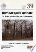 Libro Bombacopsis quinata