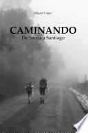 Libro Caminando: De Sarria a Santiago