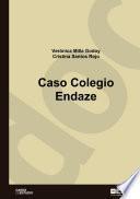 Libro Caso Colegio Enzade