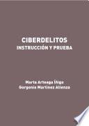 Libro Ciberdelitos. Instrucción y prueba