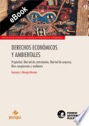 Libro Derechos económicos y ambientales