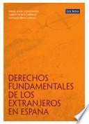 Derechos Fundamentales de los extranjeros en España (e-book)