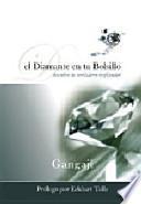 Libro El Diamante en tu bolsillo