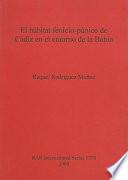 Libro El hábitat fenicio-púnico de Cádiz en el entorno de la Bahía