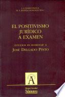 El positivismo jurídico a examen. Estudios en homenaje a José Delgado Pinto
