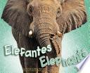 Elefantes/Elephants