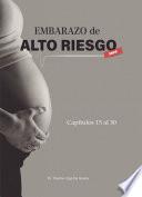 Libro Embarazo De Alto Riesgo 2