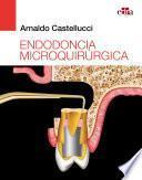 Endodoncia microquirúrgica