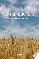 Libro Entre trigales