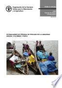 Libro Estimaciones de pérdida de pescado – Brasil, Colombia y Perú