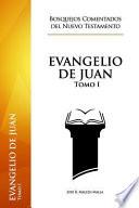 Libro Evangelio de Juan: