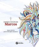 Libro Evangelio según san Marcos