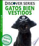 Gatos Bien Vestidos (Cats All Dressed Up)