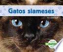 Libro Gatos Siameses