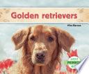 Libro Golden retrievers (Golden Retrievers) (Spanish Version)
