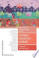 Historia y lingüística guaraní. Homenaje a Bartomeu Melià