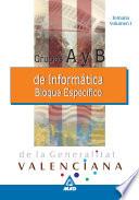 Informaticos Generalitat Valenciana. Grupos a Y B. Temario Bloque Especifico Volumen I.e-book.