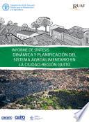 Libro Informe de síntesis dinámica y planificación del sistema agroalimentario en la ciudad-región Quito