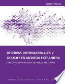 Libro International Reserves and Foreign Currency Liquidity: Guidelines for a Data Template