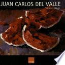 Libro Juan Carlos del Valle, Pintura y dibujo