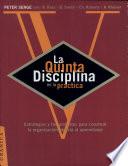 La quinta disciplina en la práctica