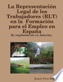 Libro La Representaci—n Legal de los Trabajadores (RLT) en la Formaci—n para el Empleo en Espa–a: su implantaci—n en Asturias.