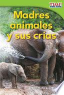 Libro Madres animales y sus crías