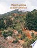 Libro Minería antigua en Sierra Morena