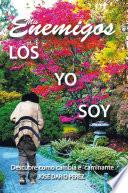 Libro Mis Enemigos