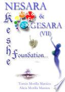 NESARA & GESARA (VII)... Fundacion Keshe
