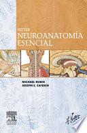 Libro Netter. Neuroanatomía esencial