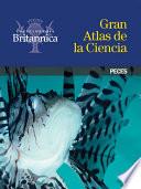 Libro Peces