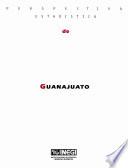 Libro Perspectiva estadística de Guanajuato