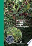Principios básicos de hongos fitopatógenos
