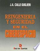 Libro Reingeniería y seguridad en el ciberespacio