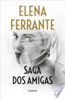 Saga Dos amigas (La amiga estupenda | Un mal nombre | Las deudas del cuerpo | La niña perdida)