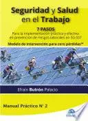 Libro Seguridad y salud en el trabajo. 7 pasos para la implementación práctica y efectiva en prevención de riesgos laborales en SG-SST