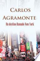 Libro Un Destino Llamado New York