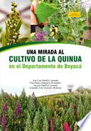 Libro Una mirada al cultivo de la quinua en el departamento de Boyacá