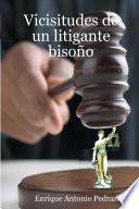 Libro Vicisitudes de Un Litigante Bisoo